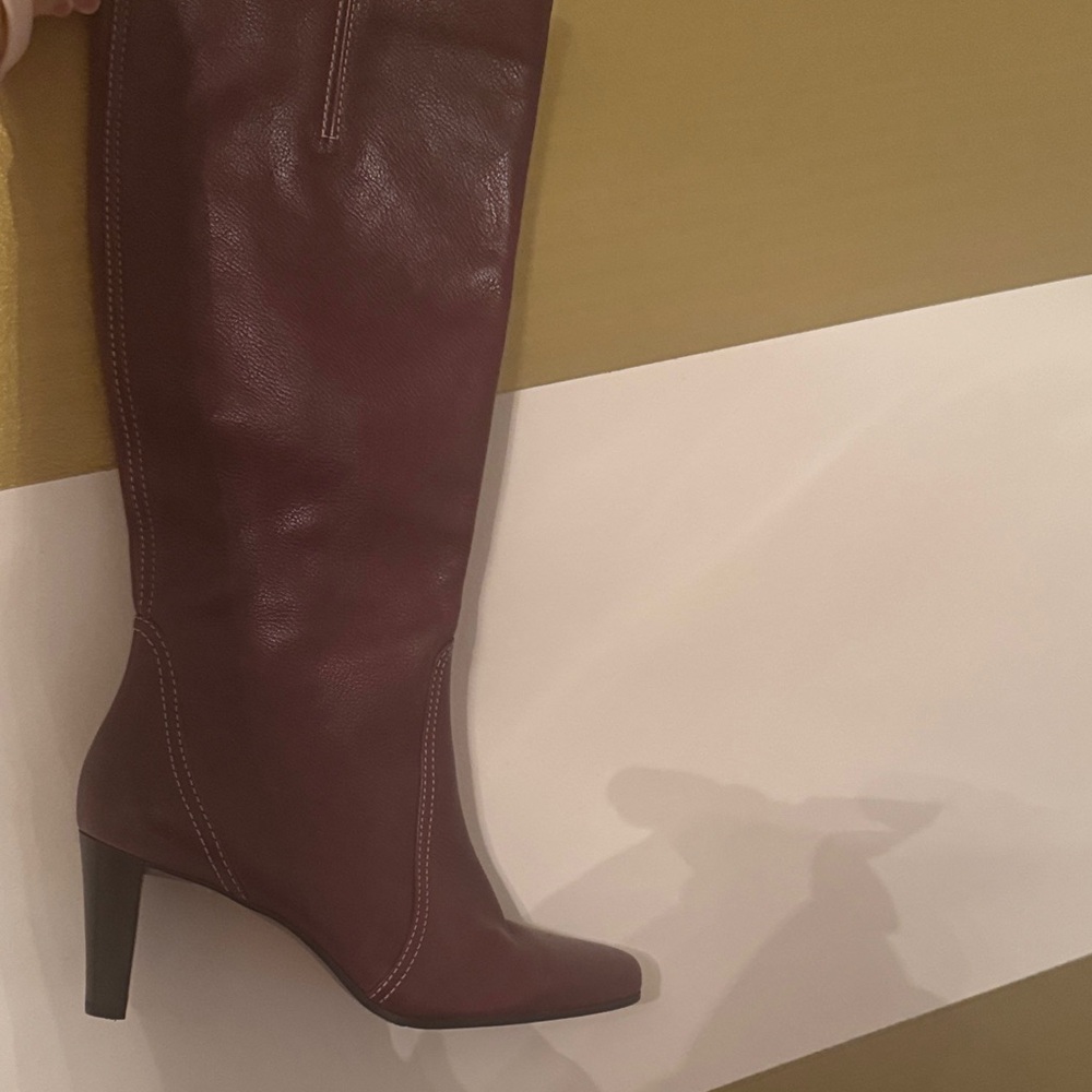 Etienne Aigner Maroon Heeled Boots